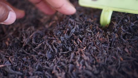 a hand sifting through loose-leaf tea