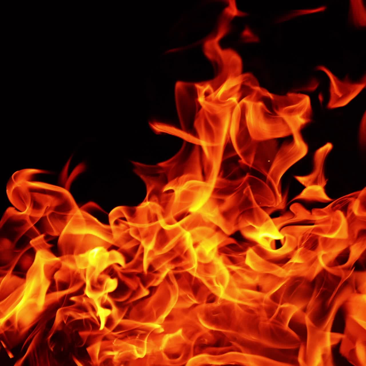 Grande falò acceso isolato sullo sfondo nero. Fiamme arancioni divampanti che si alzano. Primo piano