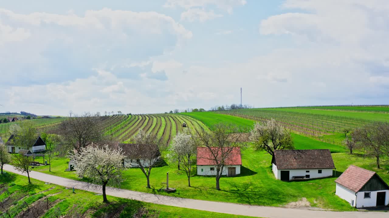 Kellergasse Wine Cellar Alleys Between The Vineyard In Weinviertel, Austria