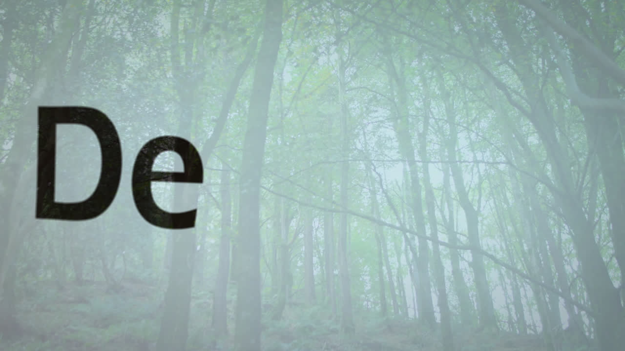 숲에 대한 비즈니스 및 동기 부여 텍스트의 애니메이션