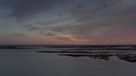 sunset over a marsh with birds
