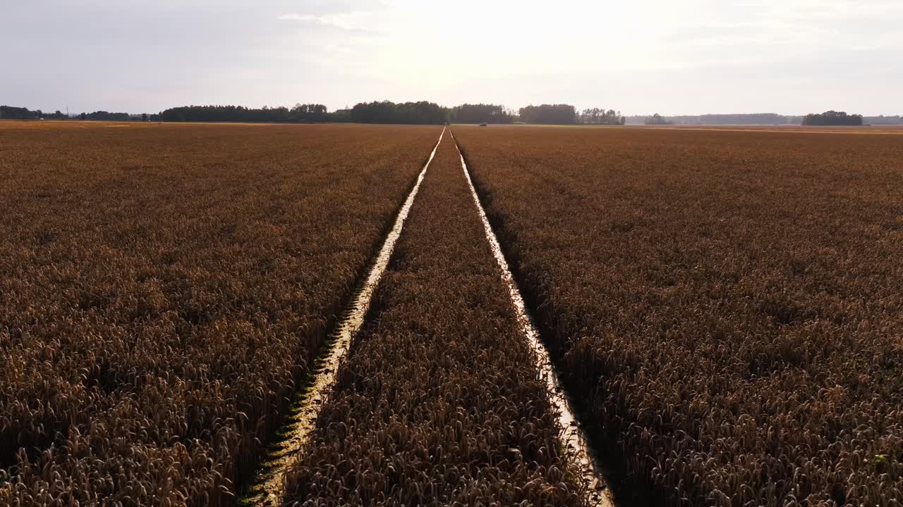 Drohne bewegt sich vorwärts über abgeerntetes Feld, tiefe Spuren bilden eine visuelle Richtung