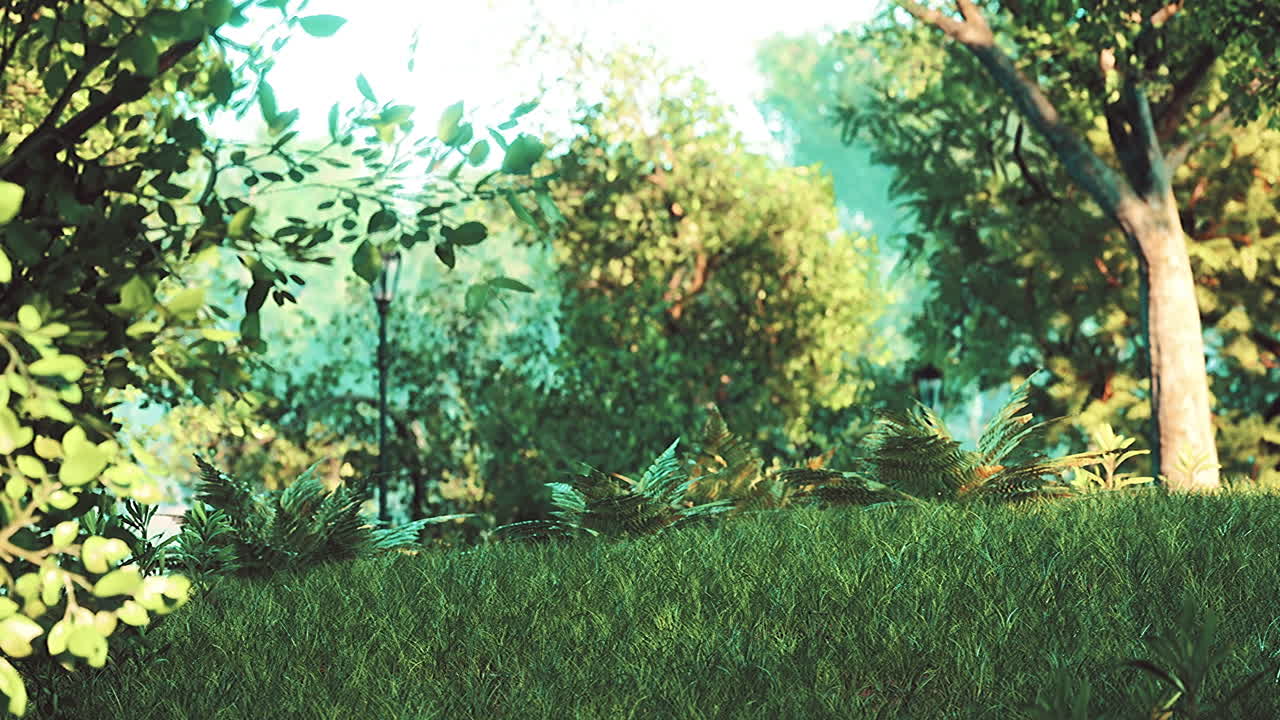 rayo de amanecer en el hermoso parque de verano