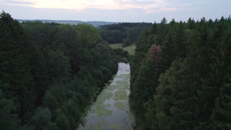 Drone-shot-of-a-canal-or-a-stream-dissecting-a-dense-coniferous-forest