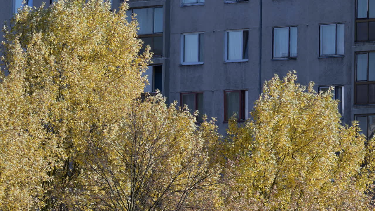 Árboles amarillos de otoño frente a un edificio de apartamentos