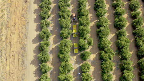 home of the nation’s finest citrus fields