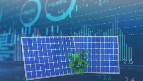 Animation-Von-Statistiken-Und-Finanzdatenverarbeitung-über-Solarpaneele