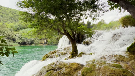 Las-Cascadas-En-El-Parque-Nacional-De-Krka-Pasan-Junto-A-Un-árbol-Hacia-El-Estanque-Turquesa-De-Abajo.