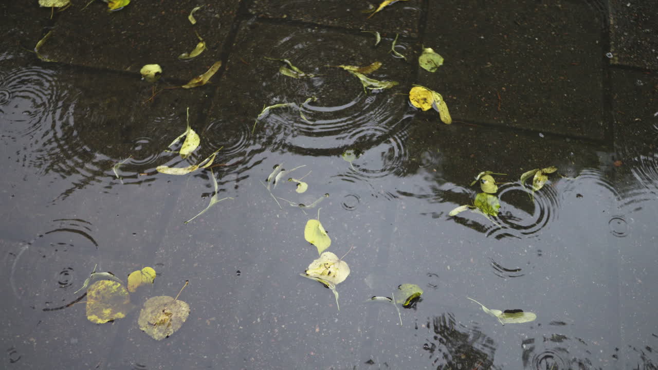 regnfuld dag i byen regnfuld i