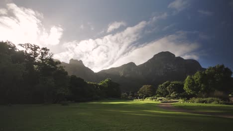 南非開普敦的kirstenbosch國家植物園的日落時刻