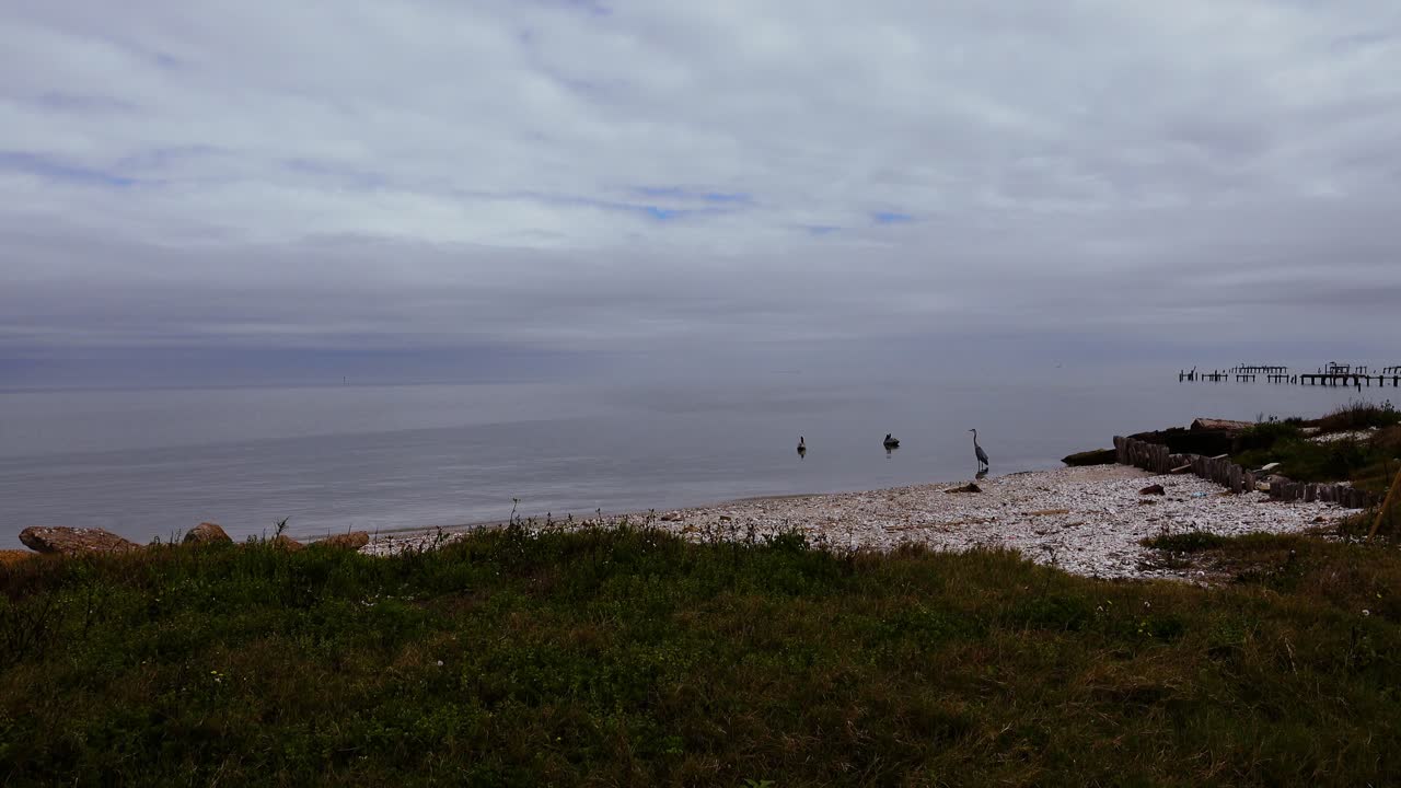 잔잔한 만을 즐기기에 좋은 날