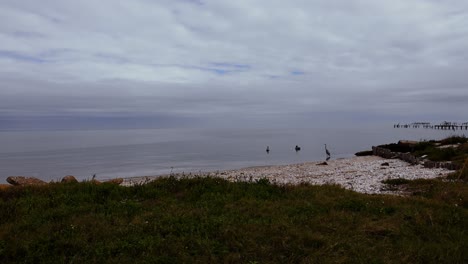 great day to enjoy a calm bay