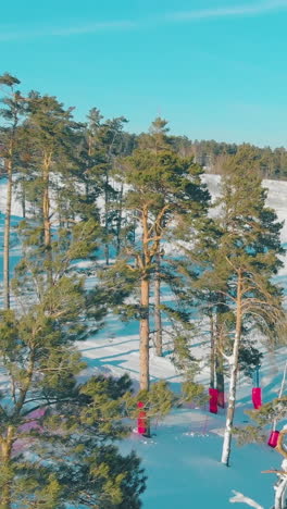 modern mountain ski resort building and trails hidden among pine trees with red safety covers on winter day aerial view
