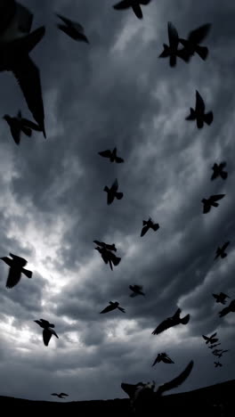 birds flying in a stormy sky