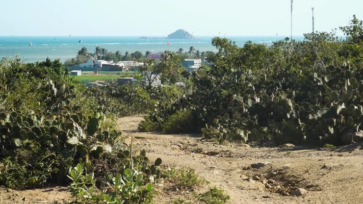 Beautiful landscape of My Hoa lagoon in Phan Rang with people kitesurfing on the horizon