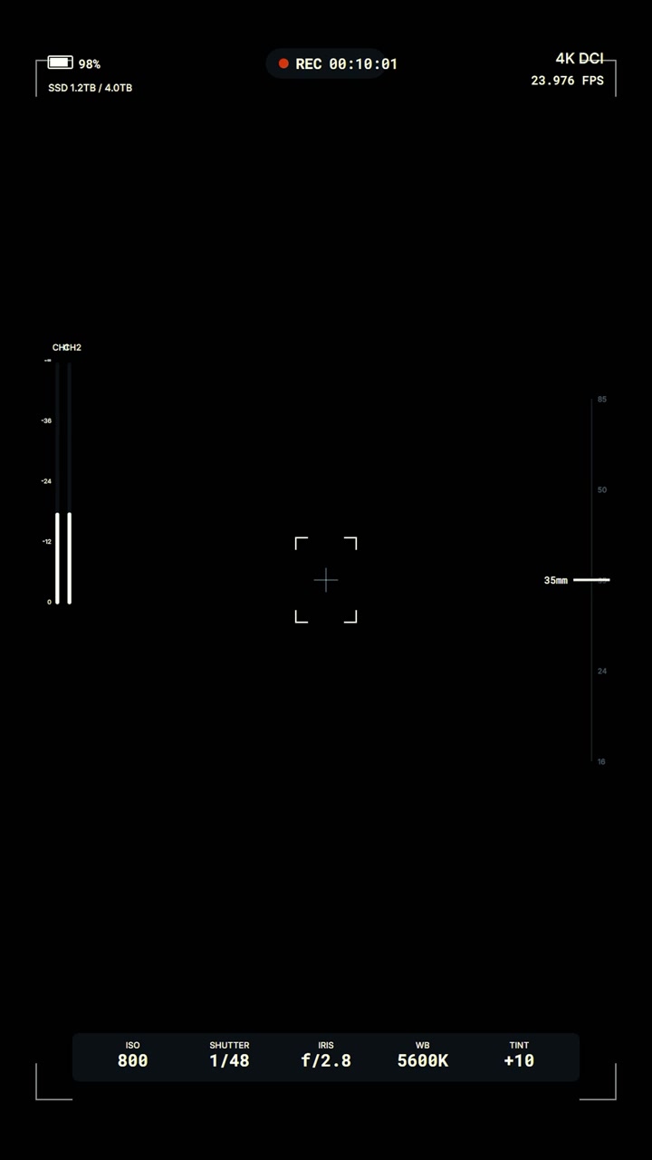 Digital Camera Viewfinder Interface with Recording Overlay