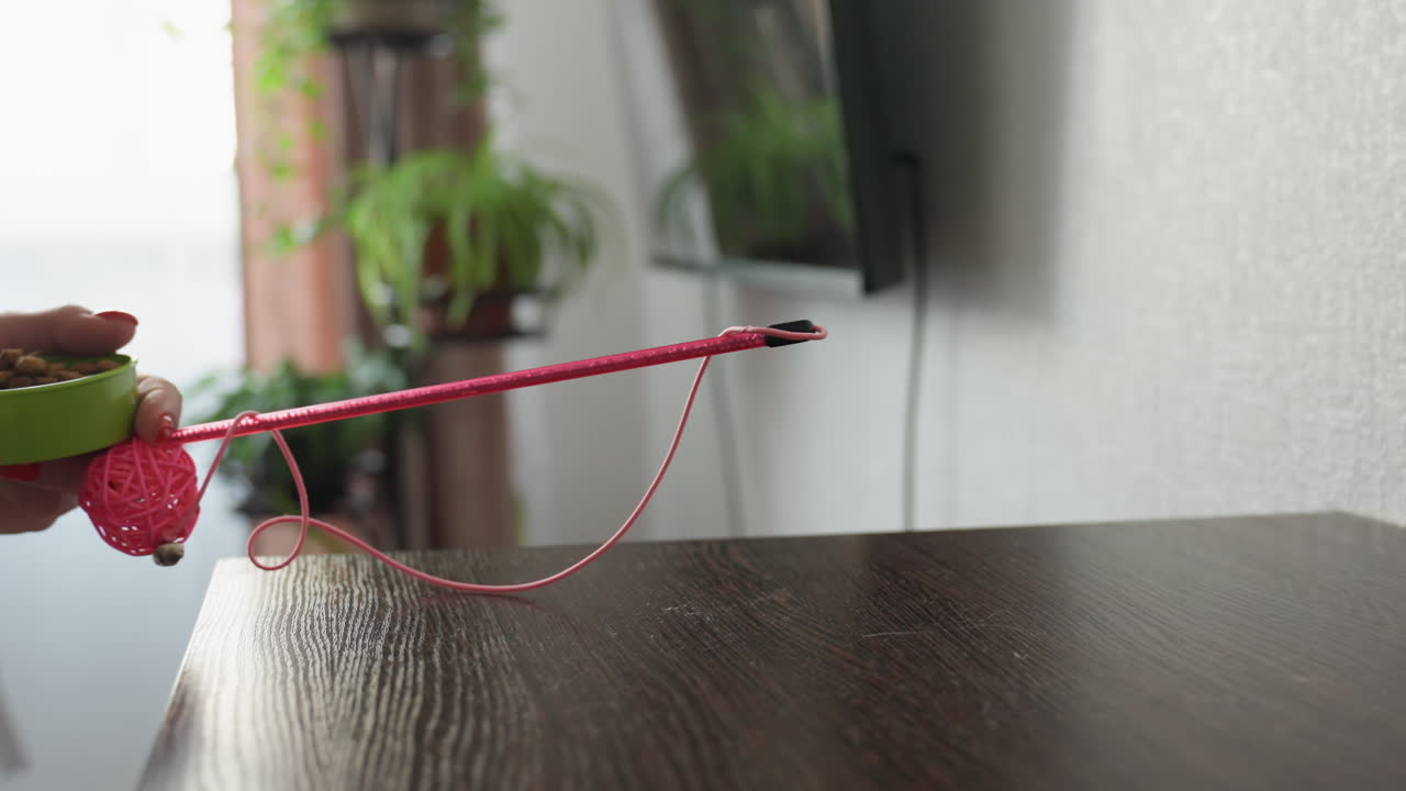 Preparing Play Area For Playful Cat Moments, Arranging Toys And Accessories For Active Feline Session, Organizing Hunting Supplies Like Ropes And Clips Around Pink Cat Toy In Living Room