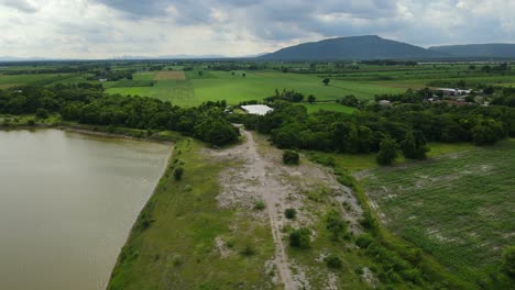 Un-Metraje-Aéreo-Hacia-Un-Paisaje-Provincial-Que-Revela-Campos-De-Arroz,-Un-Estanque-A-La-Izquierda,-Camiones-Debajo,-Hermoso-Horizonte,-Muak-Klek,-Saraburi,-Tailandia