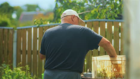 farmer man grinding feral apples in his backyard on a sunny day in latvia