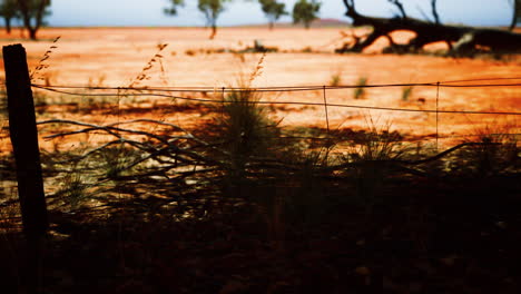 pampas con cerca de alambre de púas y arbustos secos