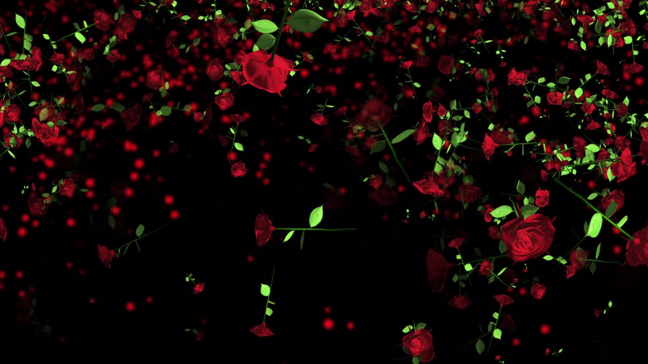 장미 꽃 입자 애니메이션