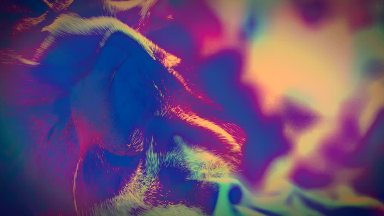 hermosas partículas en 4k. bucle sin costuras.