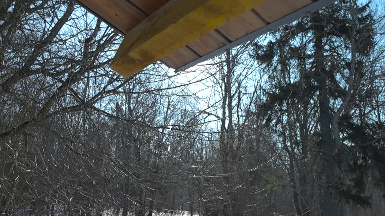 Gorgeous slow motion footage of water droplets falling from a wooden roof during spring time while snow is melting. Large leafless bare trees and pine trees are visible in the sunny winter background.