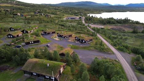 casas con techos verdes en el pueblo de noruega