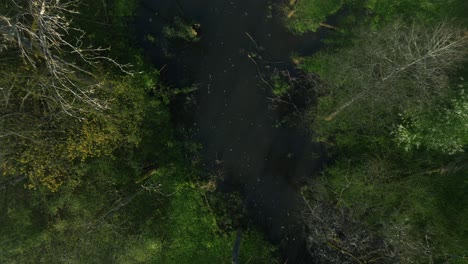 Toma-Aérea-De-Arriba-Hacia-Abajo-De-Una-Mañana-Brumosa-Sobre-Un-Pantano-Y-Un-Río,-Creando-Un-Ambiente-Cautivador-Y-Una-Experiencia-Visual-Impresionante