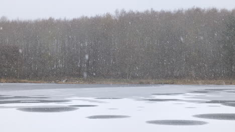 frozen lake with snow falling