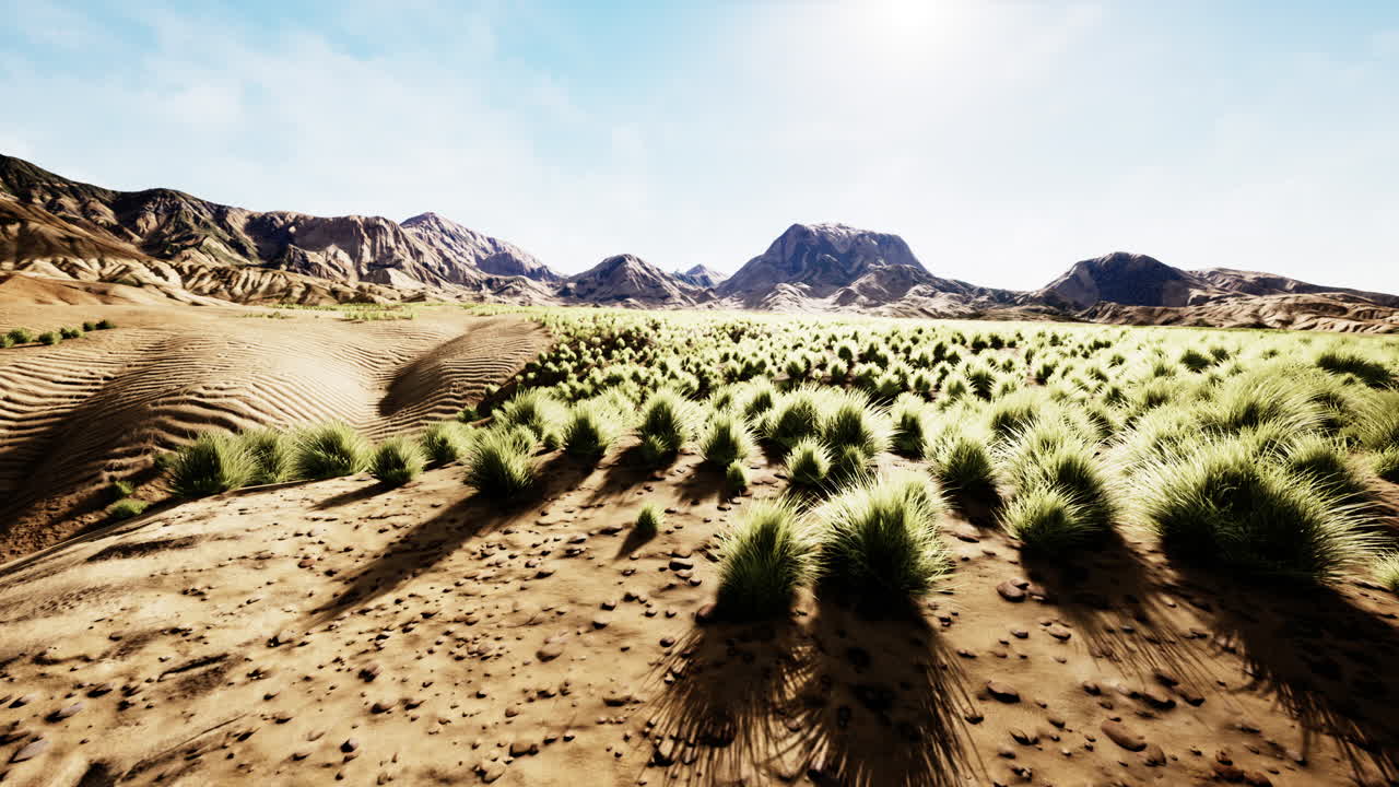 중앙 아시아 의 사막 에 있는 아름다운 노란색 오렌지 모래 모래 언덕