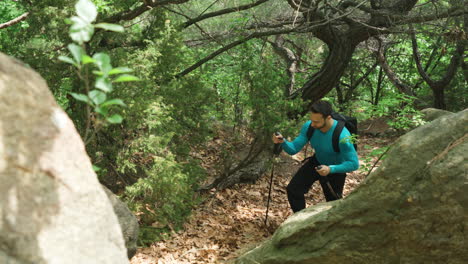 Man-Hiker-Appears-From-Behind-Large-Rock-Walking-Uphill-The-Mountain-Forest-Trail,-sport-spring-activity-concept