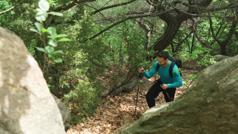 el excursionista aparece detrás de una gran roca caminando cuesta arriba por el sendero del bosque de la montaña, concepto de actividad deportiva de primavera