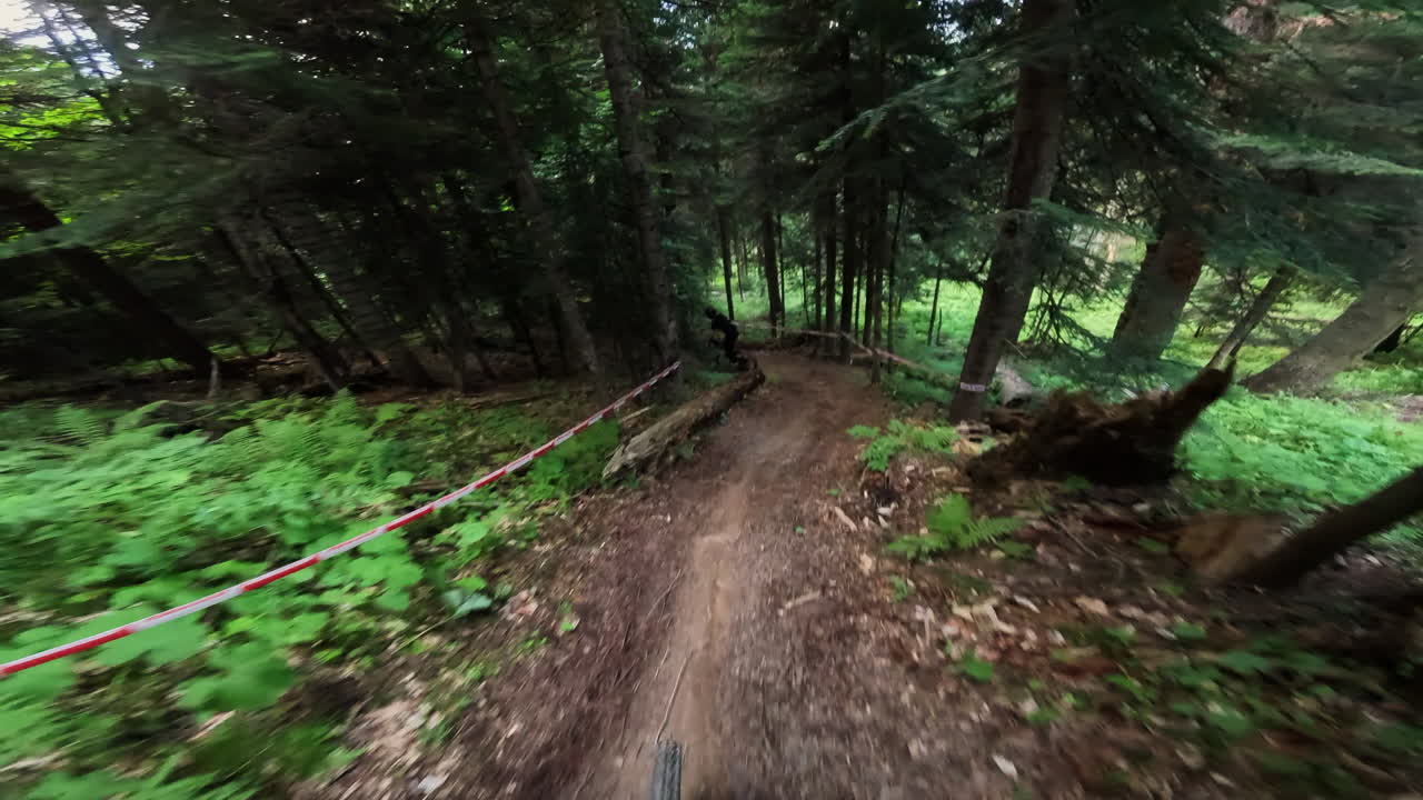POV Mountain Biking Downhill Through a Green Forest Trail