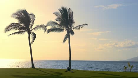 sunset over the ocean with palm trees