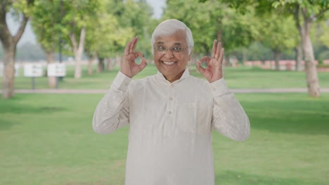 happy indian old man showing okay sign in park