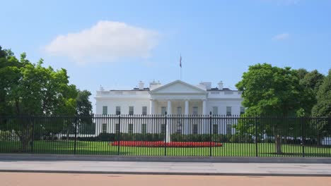 the video highlights the iconic white house amidst lush greenery. this video showcases the white house, framed by greenery and a fence on a sunny day, highlighting its architectural grandeur in a calm setting