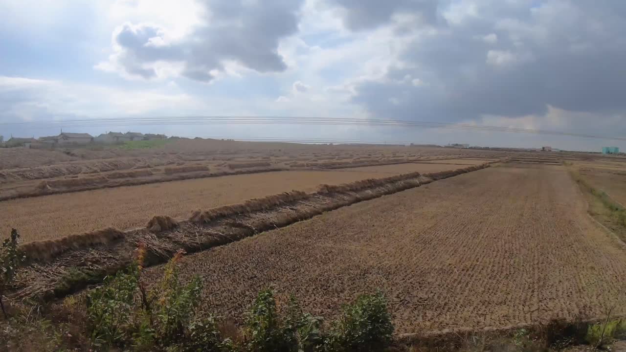 campo de corea del norte