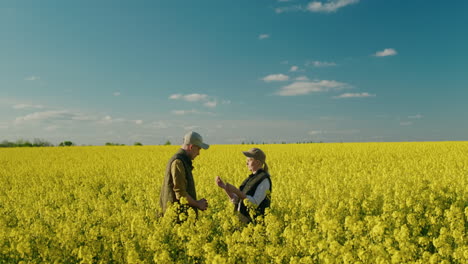 farmers inspecting rapeseed field