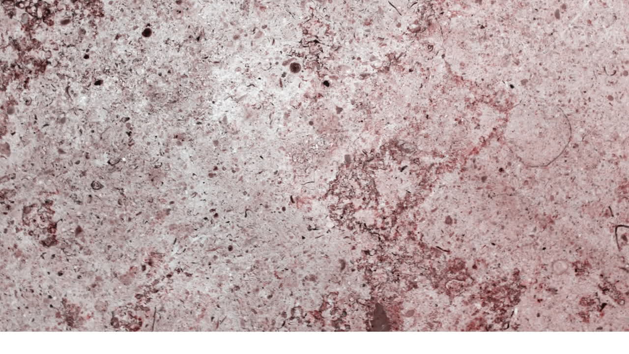 animación de texto de venta en burbuja de habla retro sobre fondo abstracto