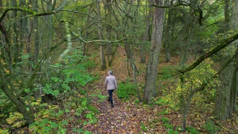 third person view hiker in woods crash