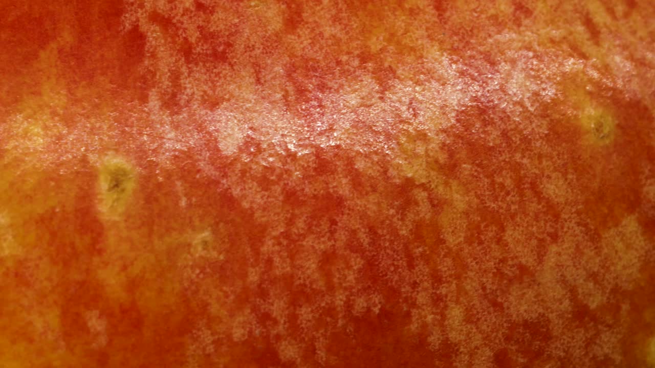 Scatto macro della buccia di una mela rossa.
