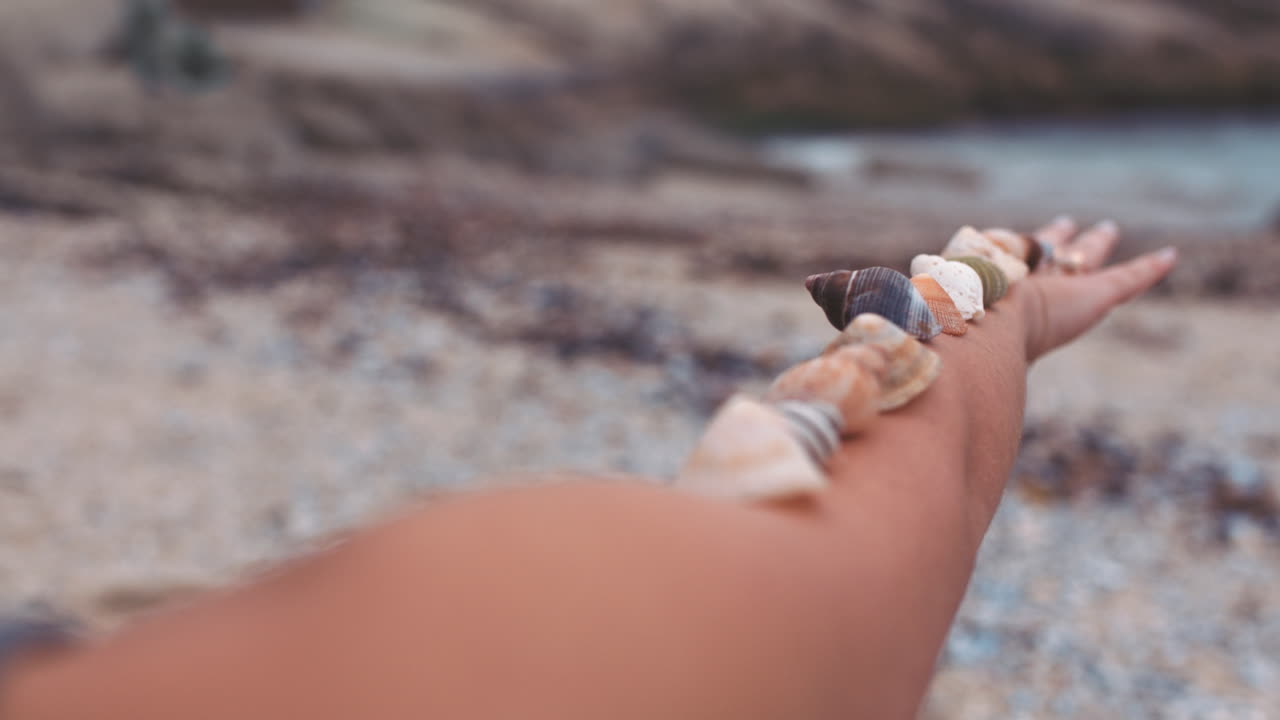 de manos de mujer con conchas en el brazo en la playa