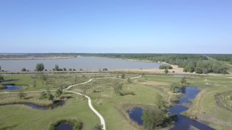 Aerial-view-of-wild-Konik-horses-in-National-Park-Oostvaarders-plassen,-Flevoland,-the-Netherlands