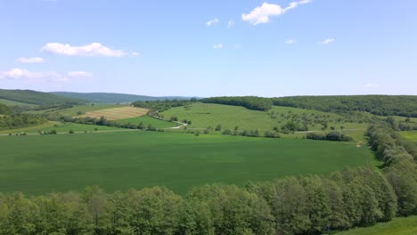 green fields and soil in the midday sun