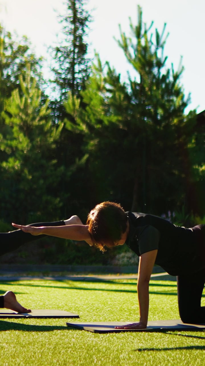 Woman Practicing Bird Dog Yoga Pose Outdoors