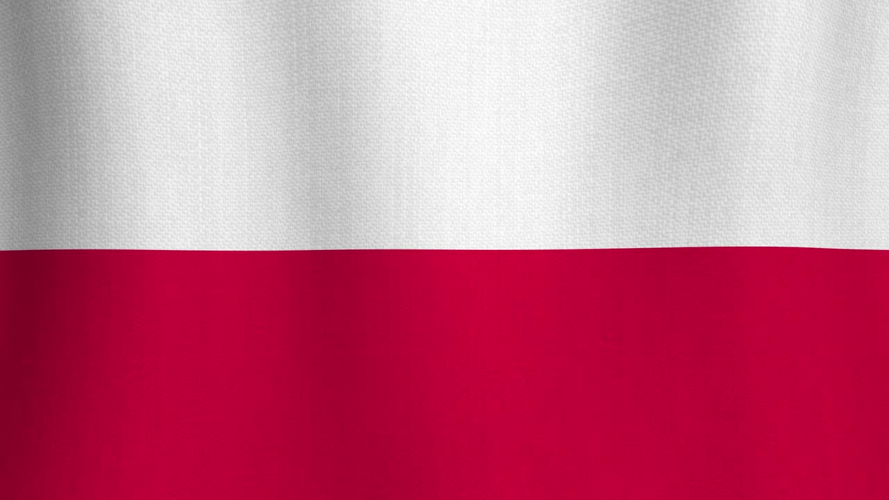 폴란드의 현실적인 면화 발을 배경으로