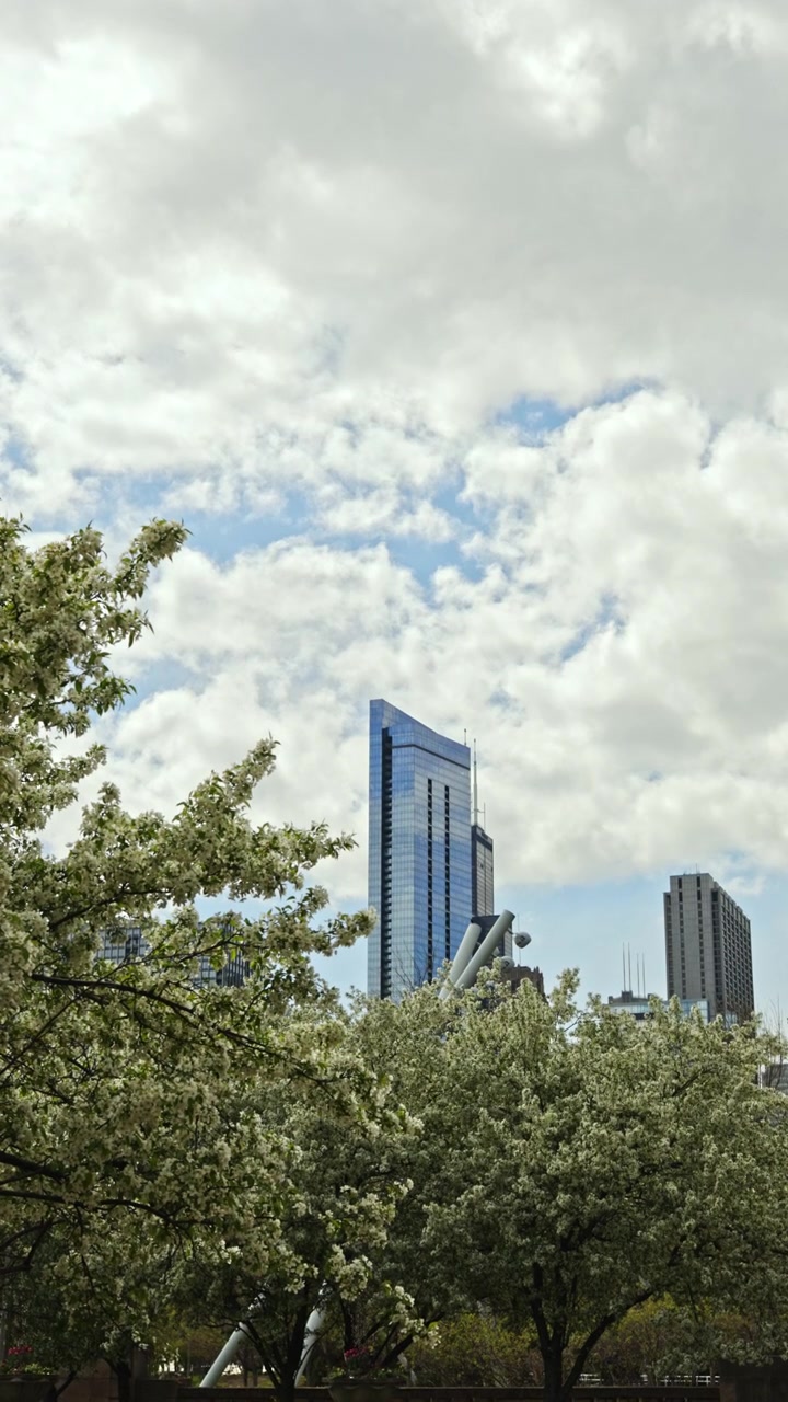 Flores crescem no parque com edifícios altos e céu nublado ao fundo durante uma tarde de primavera.