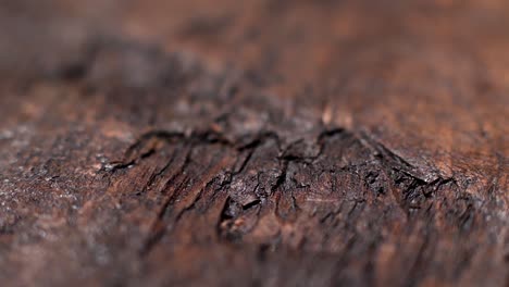 close-up of dark brown wood texture