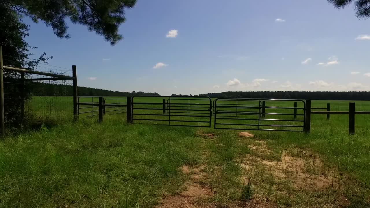 volando en un campo abierto
